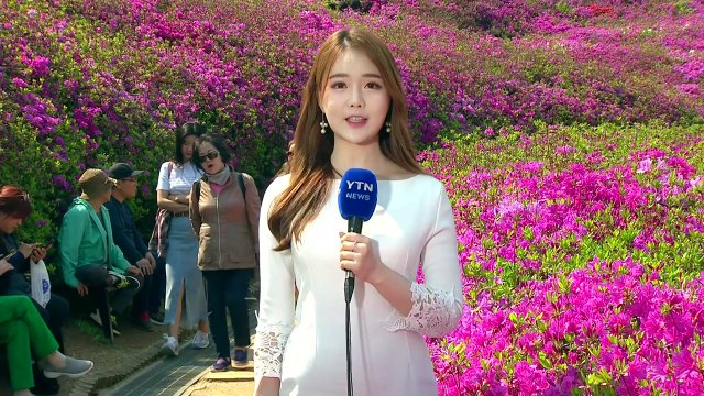 [날씨] 내일도 화창한 봄 날씨...진분홍 철쭉 만발 / YTN