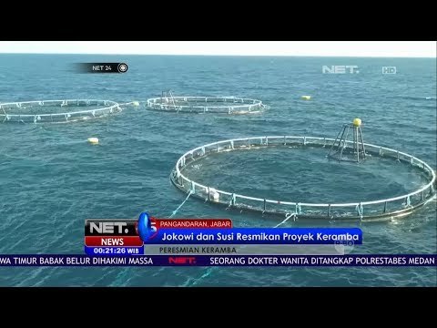 Jokowi Dan Susi Resmikan Proyek Keramba Di Pangandaran -NET24