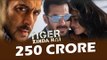 Salman के Tiger Zinda Hai ने किया सिर्फ 10 दिन में 250 करोड़ पार | Katrina Kaif, |  Box Office Record