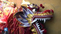 Peruanos se suman a celebraciones del Festival de Primavera de China