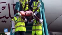 Más nigerianos regresan rescatados del campo de esclavos libio