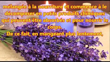 Manger lentement à de grands bienfaits