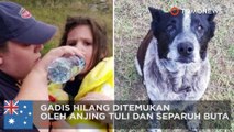 Anjing tuli dan hampir buta menolong gadis yang hilang - TomoNews