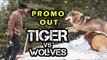 Tiger Zinda Hai का शानदार Promo हुआ रिलीज़  | Tiger Vs Wolf | Salman Khan, Katrina Kaif