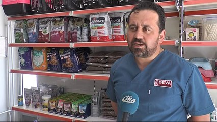 Evcil hayvan tüyleri sanılandan daha zararsız