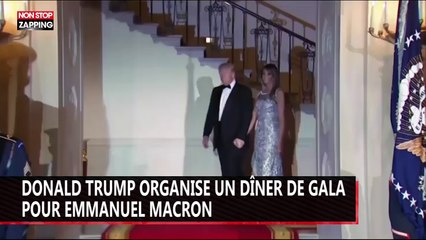 Donald Trump organise un dîner de gala pour Emmanuel Macron (vidéo)