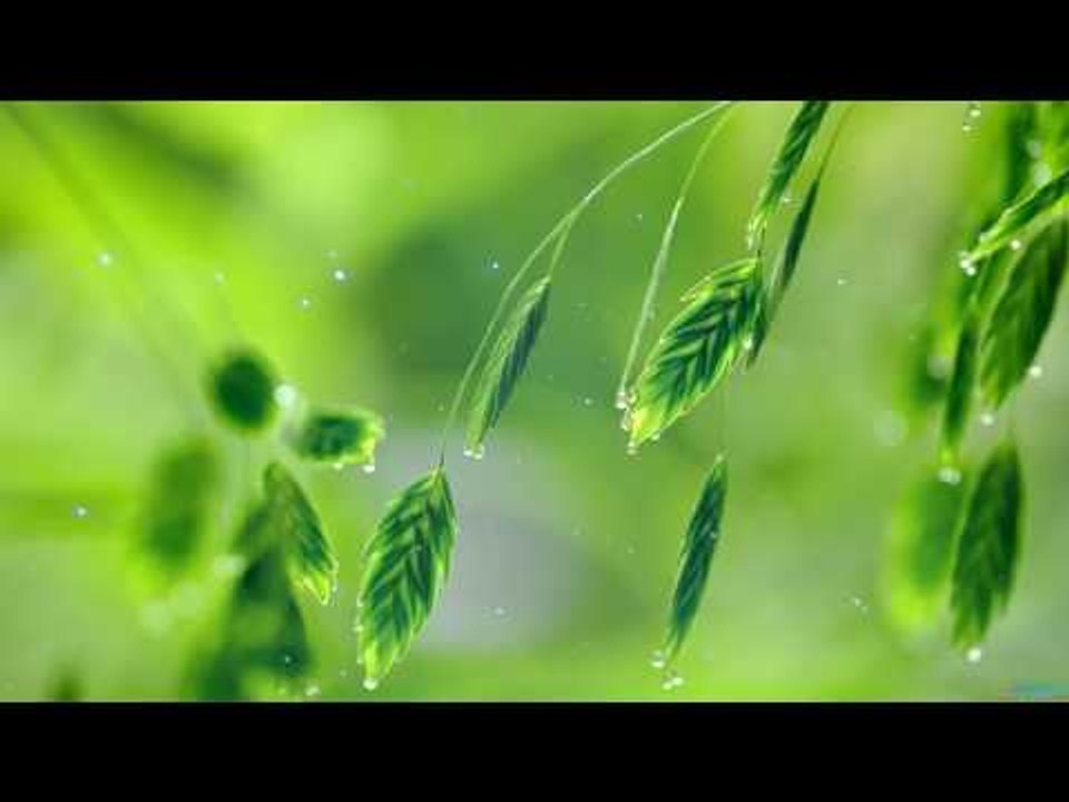 Классическая фортепианная музыка для изучения и концентрации, изучения музыки