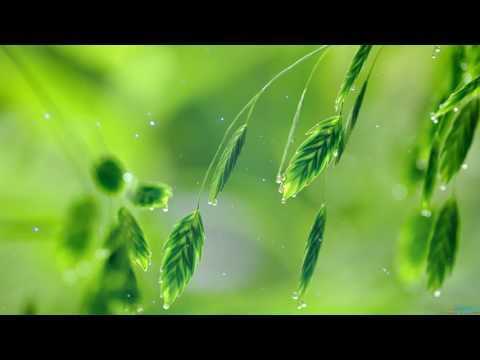 Классическая фортепианная музыка для изучения и концентрации, изучения музыки