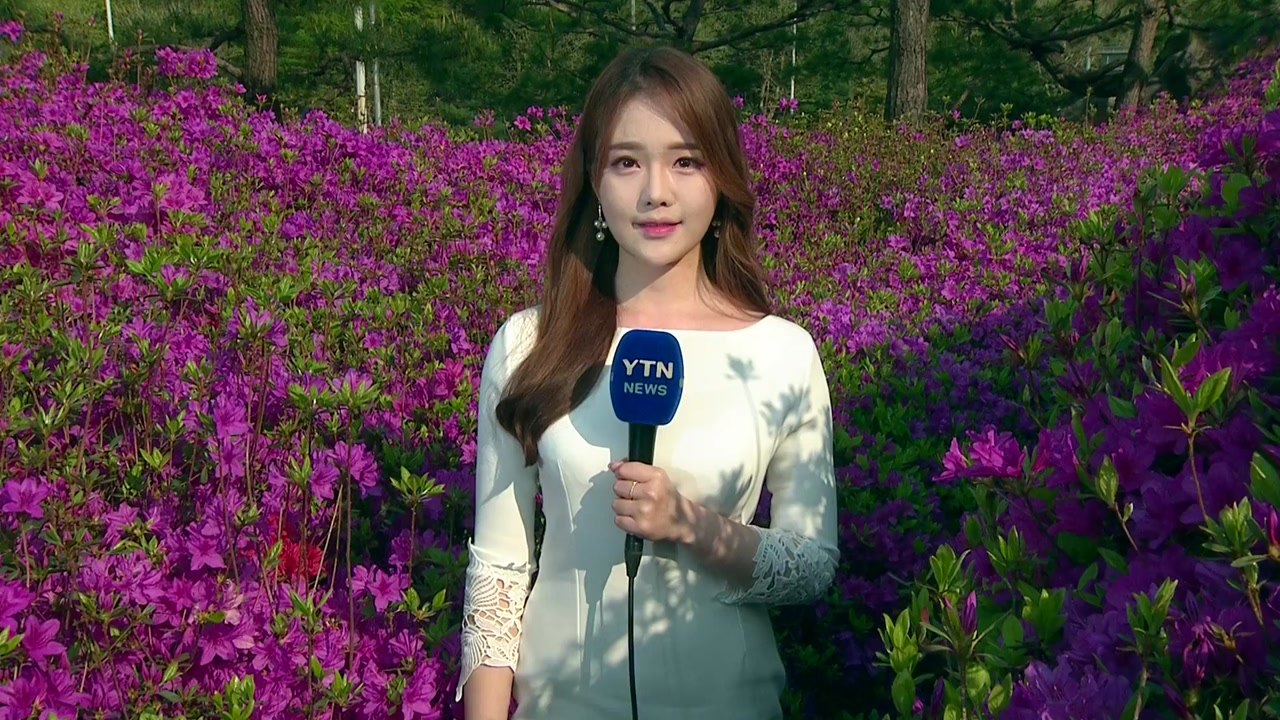 [날씨] 내일도 완연한 봄, 공기 깨끗...만발한 철쭉 동산 / YTN