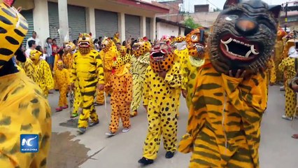 Pese a violencia, celebran la tigrada en Chilapa, Guerrero