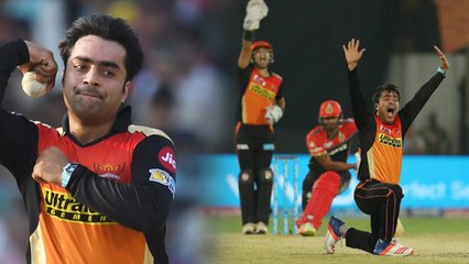 IPL 2018, ரஷீத் கான் இந்த ஐபிஎல் தொடரின் மிக முக்கியமான வீரர்