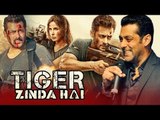 Salman Khan ने लिखे थे Tiger Zinda Hai के दमदार Dialogue