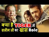 क्या Salman के पिता Salim Khan करेंगे Tiger Zinda Hai में Debut ?