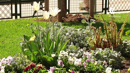 Reportage - La place Victor Hugo fait peau neuve !