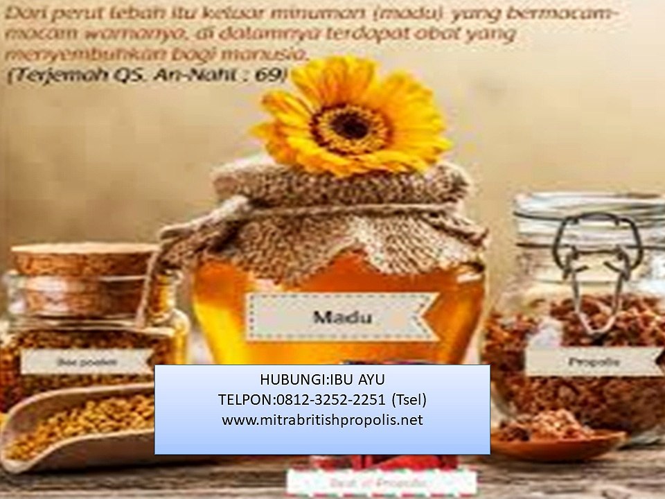 british Manfaat Dari British propolis bogor,Manfaat British propolis Untuk Mata bogor,Manfaat British propolis Untuk Jerawat bogor,Apa Saja Manfaat British propolis bogor,Manfaat British propolis Untuk Anak