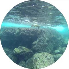 Démo des nouvelles lunettes Spectacles étanches de Snapchat