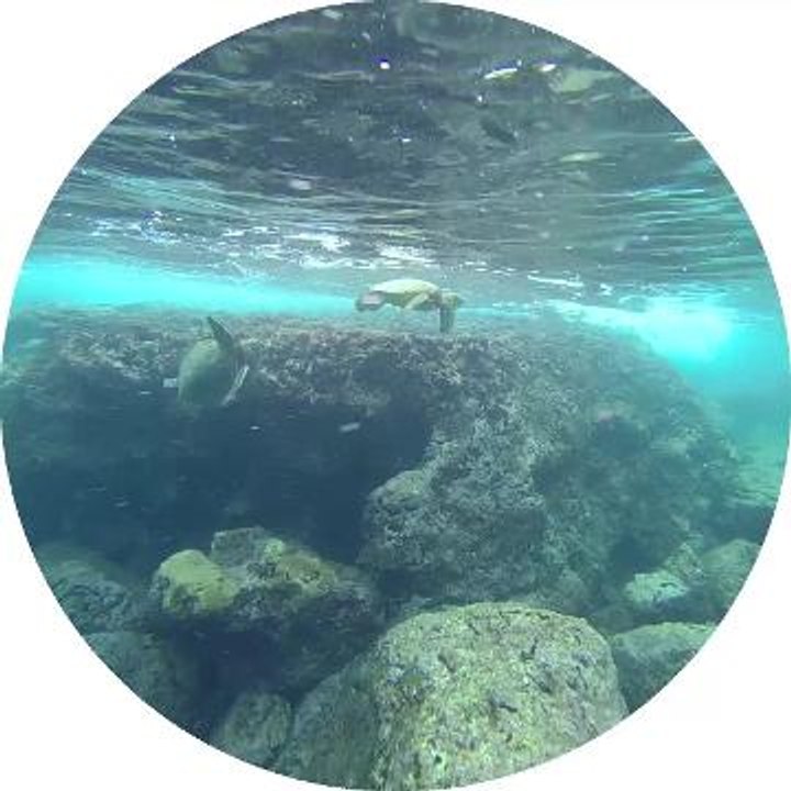 Démo des nouvelles lunettes Spectacles étanches de Snapchat