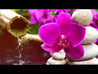 Tiefe Meditation Musik: Entspannung Flötenmusik , Beruhigende Musik, leise Musik ♫♫♫