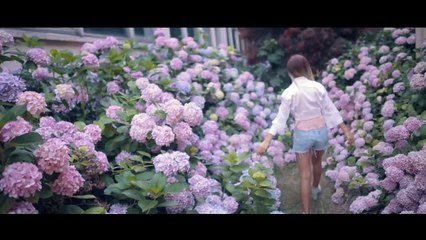 Feride Hilal Akın feat. Enbe Orkestrası Bilir mi