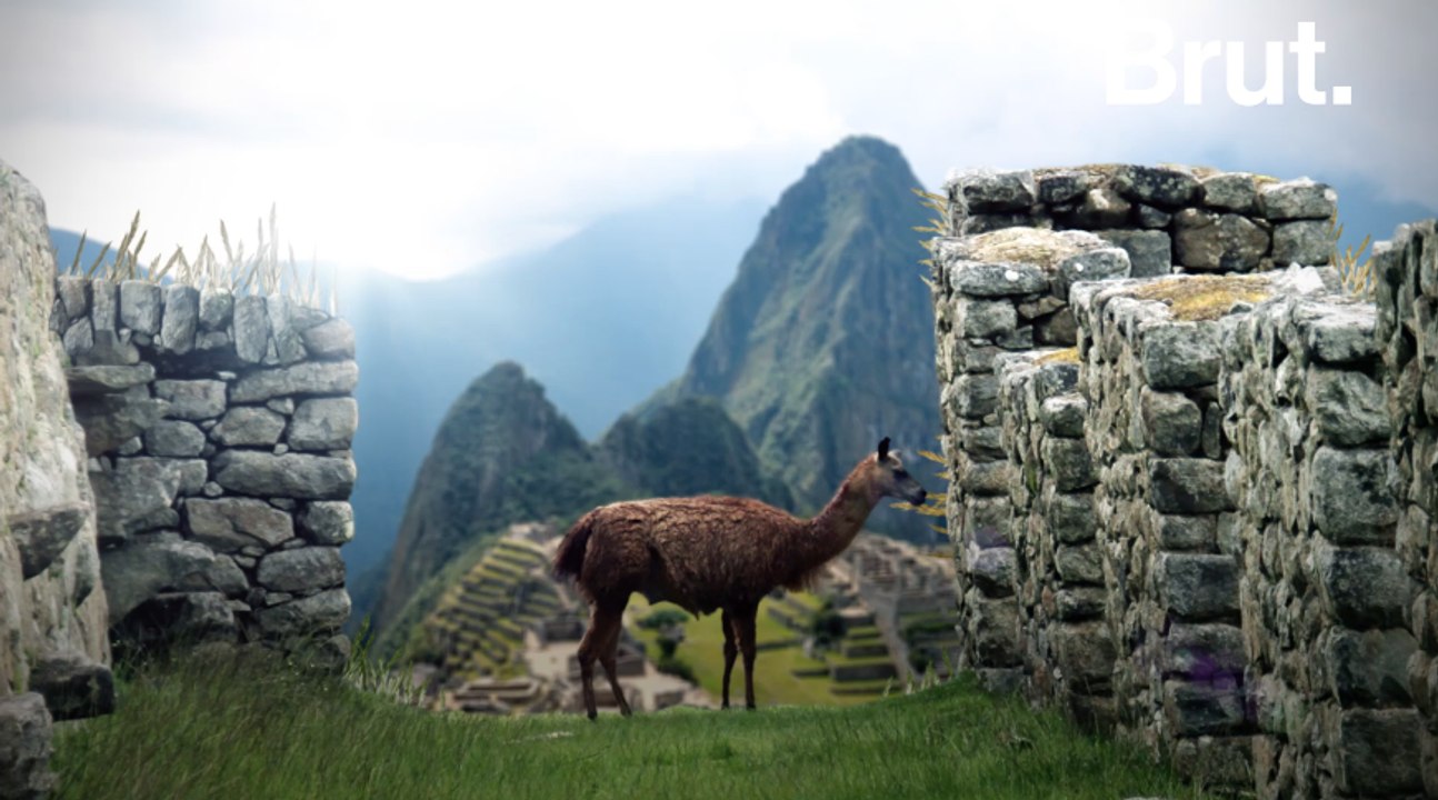 Le Chemin de l'Inca est l'une des 5 meilleures randonnées de la planète