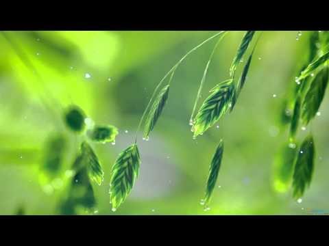 Klassische Klaviermusik für Studium und Konzentration , zu studieren Musik , New Age Relax Musik