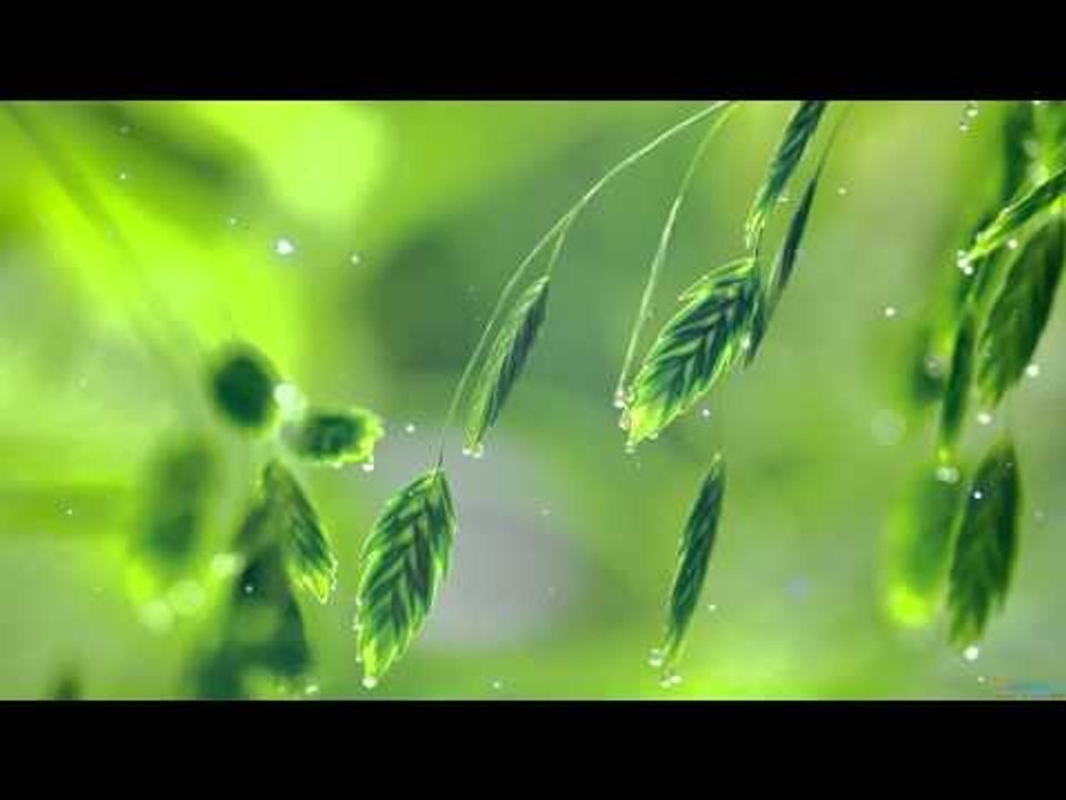 Klassische Klaviermusik für Studium und Konzentration , zu studieren Musik , New Age Relax Musik