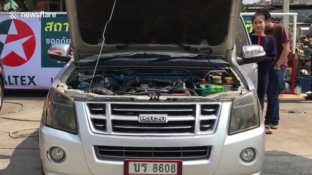 Kitten rescued after getting stuck in car engine