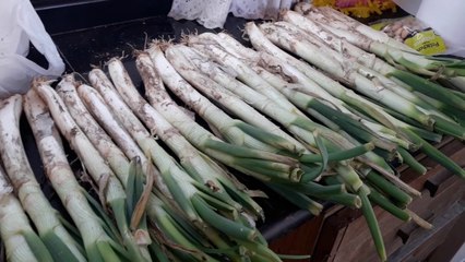 Te presento a Scooby - Esto es Primavera pura - Aracelli Vlogs