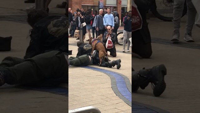 2 Hommes ivres 1 Chien (Bristol)