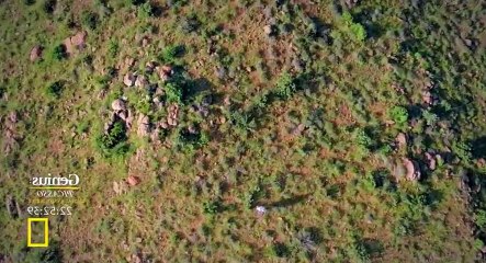 One Strange Rock S01xxE05 Survival - Part 01