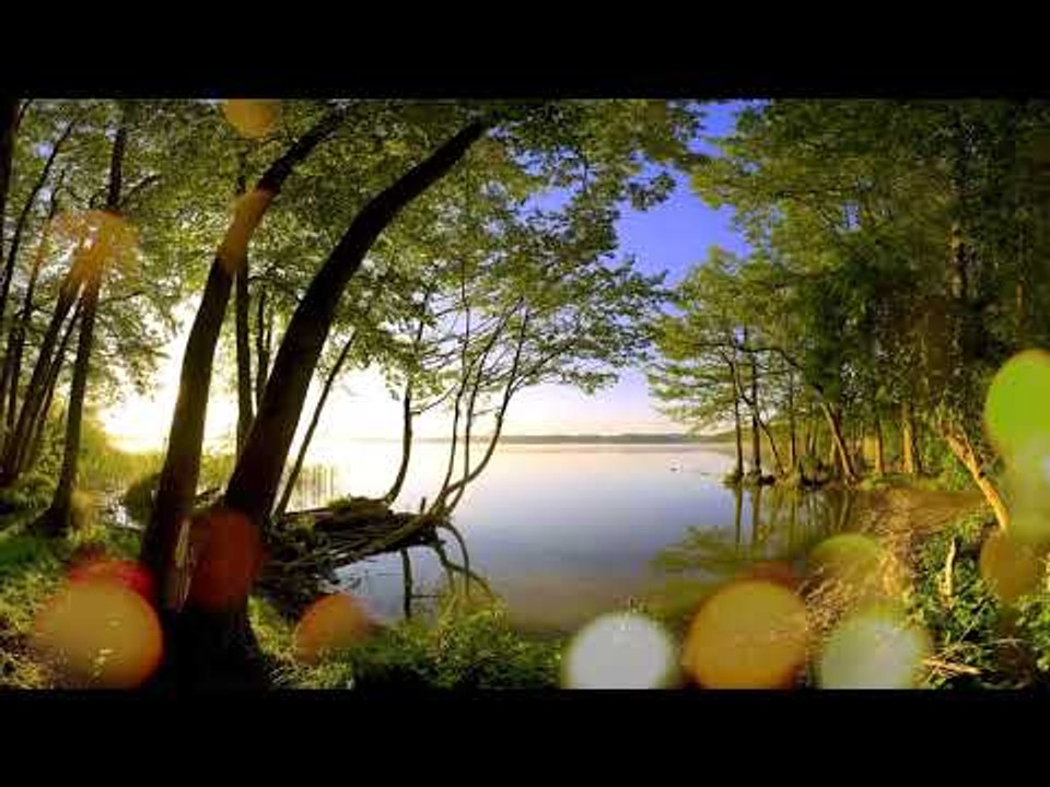 Chill Out Relax Music - Meditational Calming Musik, Innerer Frieden, beruhigende Musik, Study