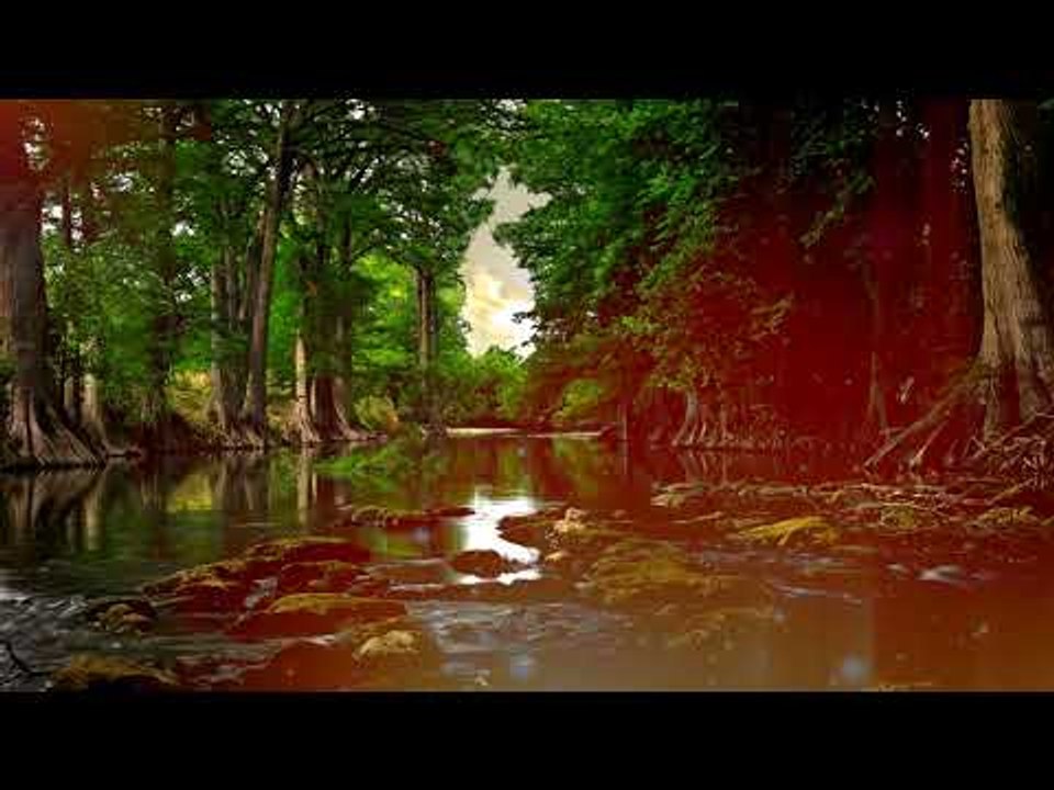 Лесные звуки, музыка релаксации - звуки медитац...