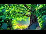30 Min. Entspannende Musiktherapie, Entspannende Natur Szenen - Entspannende Musik - Naturszenen