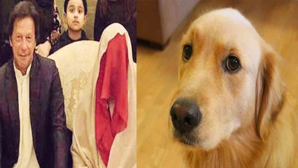 Imran Khan की third wife Bushra Maneka ने छोड़ा घर, कुत्ता-ननद या बच्चा क्या थी वजह । वनइंडिया हिंदी