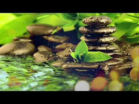 Zen Musik - Stress Relief Musik, Spirituelle Musik, Meditation, Anti - Stress