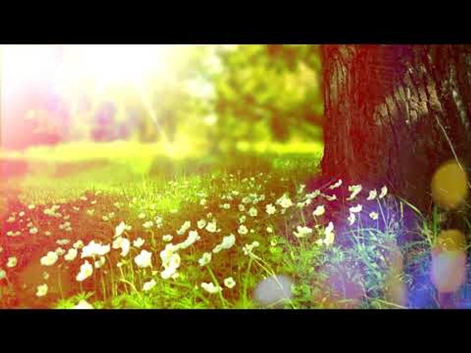 Расслабляющие природные звуки - успокаивающая м...