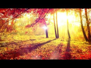 1 HOUR - Meditation Relax Musik, Naturgeräusche, entspannende Musik, Positive Musik
