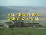 All Creatures Great & Small S06 E08 - Mending Fences