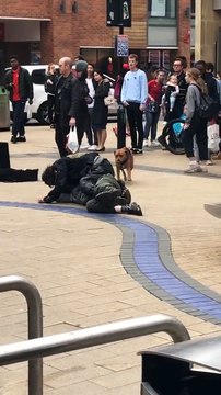 2 hommes ivres se battent, un chien s'occupe d'eux (Bristol)