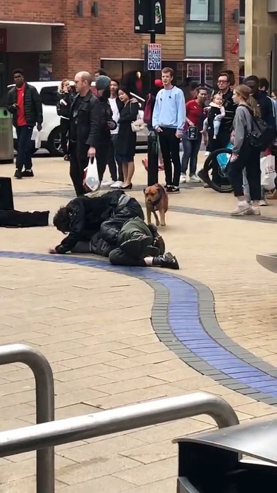 2 hommes ivres se battent, un chien "s'occupe" d'eux (Bristol)