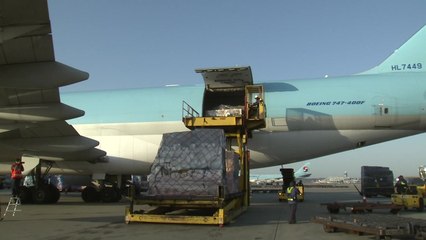 한진그룹-세관 물품 반입 유착 의혹 확산 / YTN