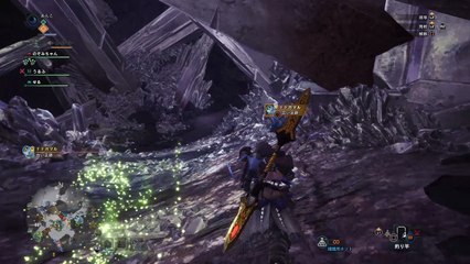 モンスターハンター：ワールド_20180425222938