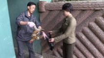 Meari Shooting Range - Shooting my dinner in North Korea