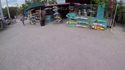 POV footage of YouTuber hand-feeding giant tarpon