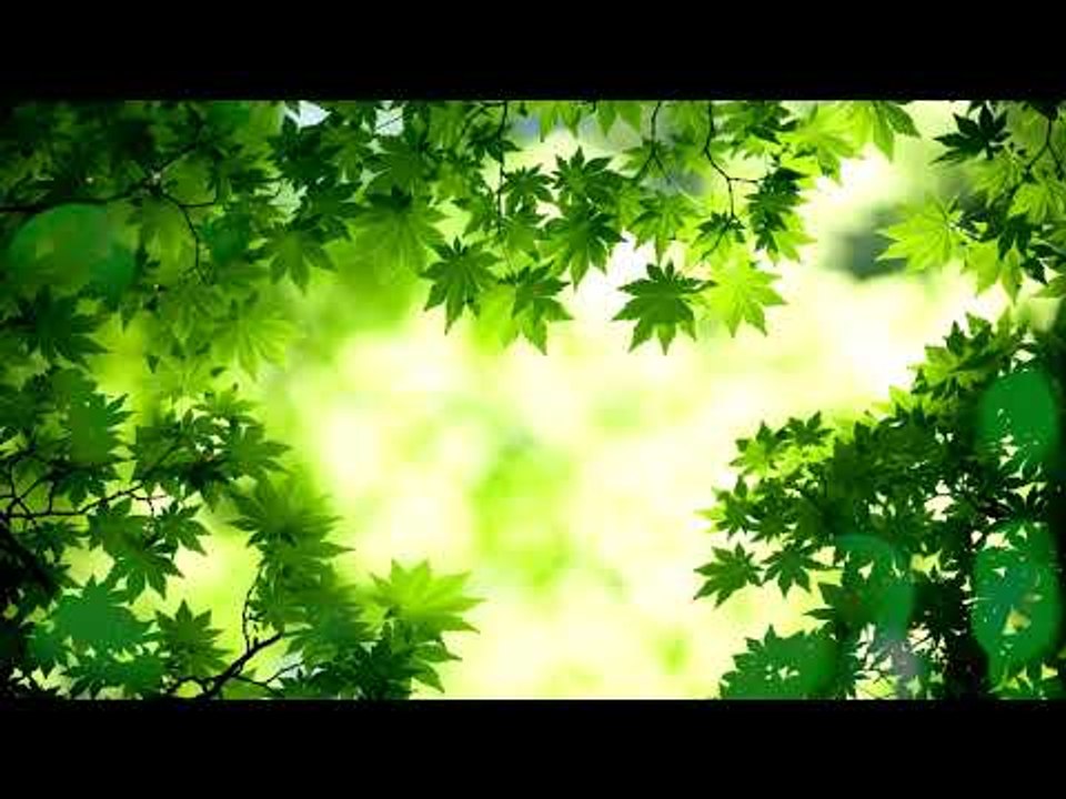 Мягкая, медитация Глубокая сонная музыка: музыка внутреннего мира, расслабляющая музыка