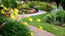New Horizon Trees and Landscaping Services-(951) 956-1690