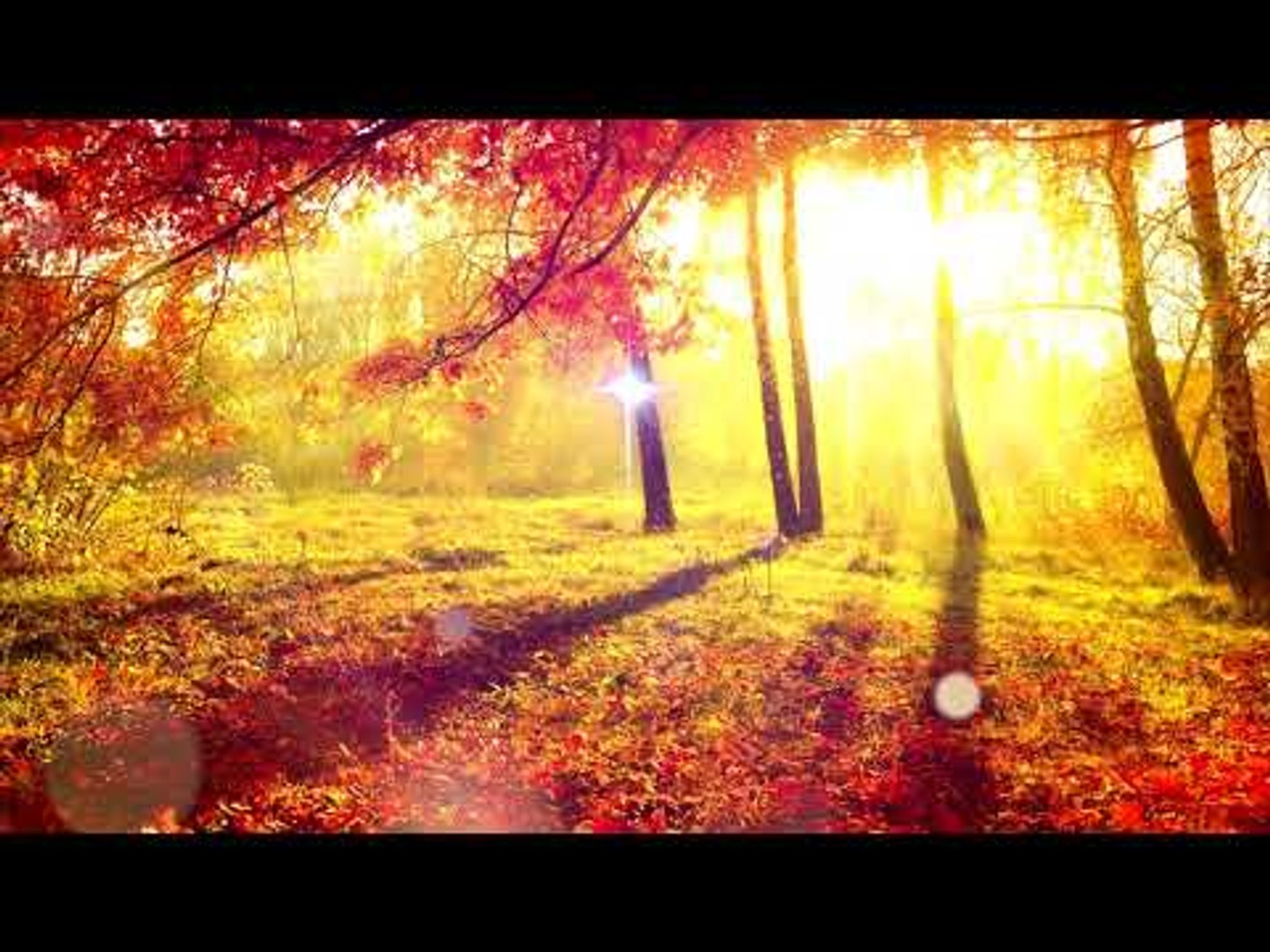 1 ЧАС - Медитация Релакс Музыка, Природа Звуки, Расслабляющая музыка