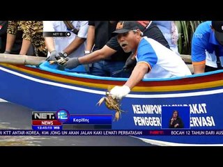 Seribu Kepiting Dilepas Liarkan -NET12