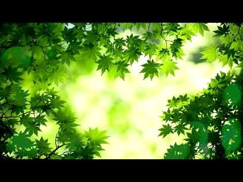 Soft, Meditation Deep Sleep Musik: Innenfrieden Musik, Entspannende Musik, Schlafende Musik