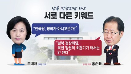 남북 정상회담 D-2..."성공" vs "北 살리기" / YTN